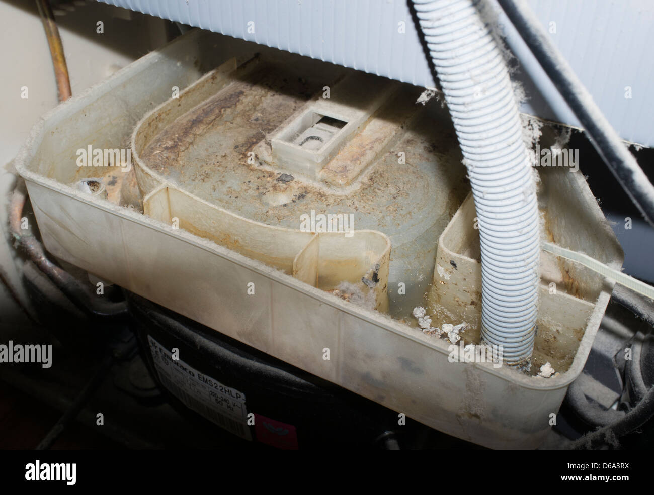 Filthy , mucky , moldy refrigerator condense water evaporator pan Stock Photo Alamy