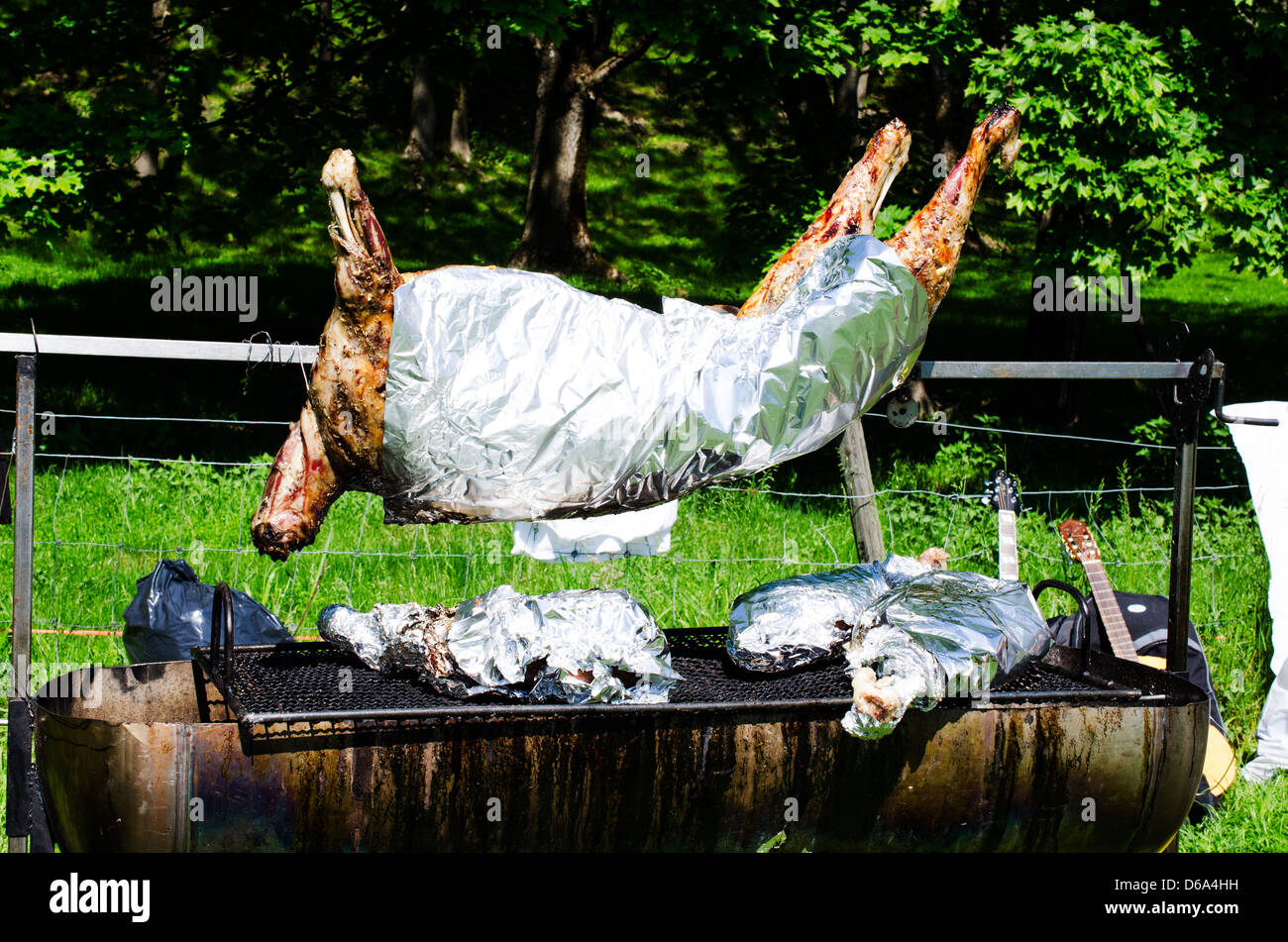Whole roasted pig on a spit Stock Photo
