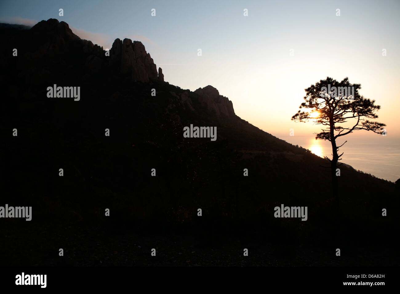 Sun Rise over sloping cliff with tree in silhouette Stock Photo - Alamy