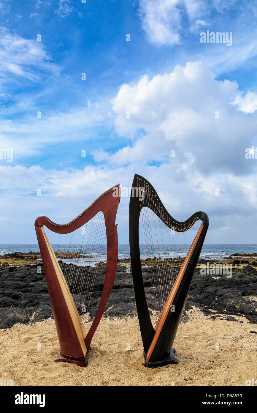 Harps on beach in Hawaii Stock Photo