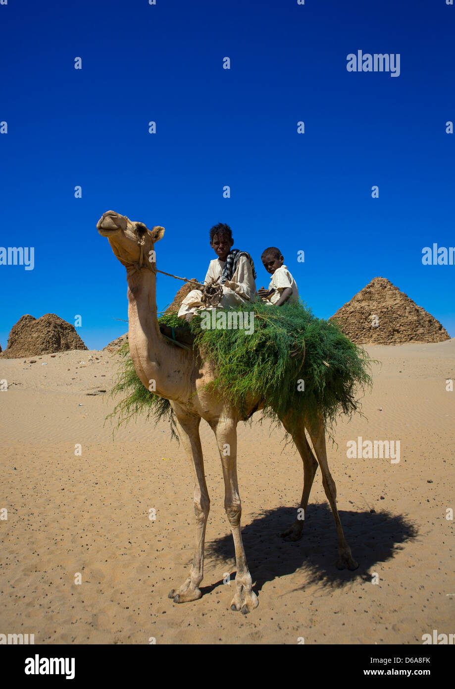 Kids On A Camel In Front Of The Royal Pyramids Of Napata, Nuri, Sudan Stock Photo