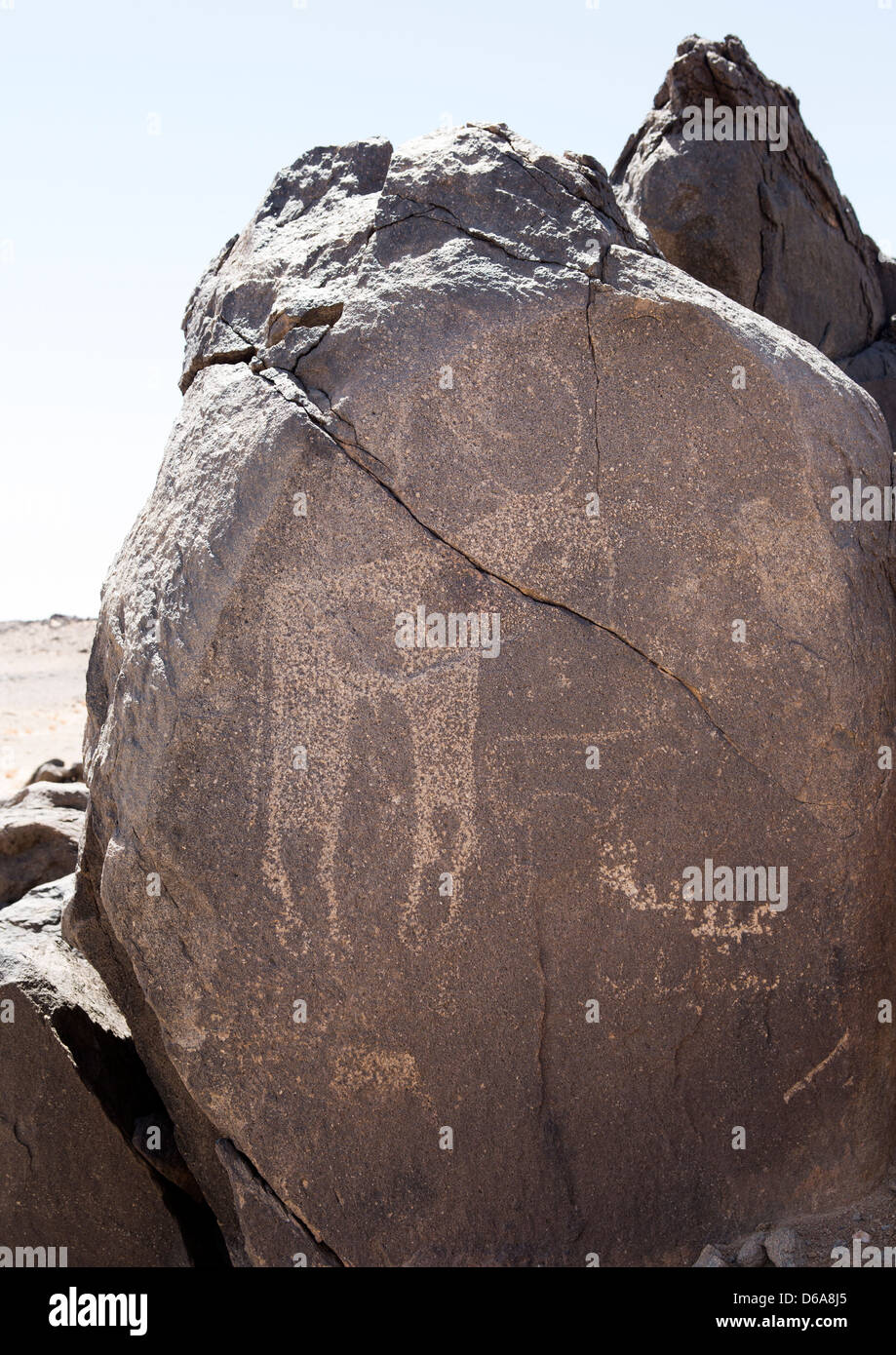 Rock Art In The Desert, Nuri, Sudan Stock Photo