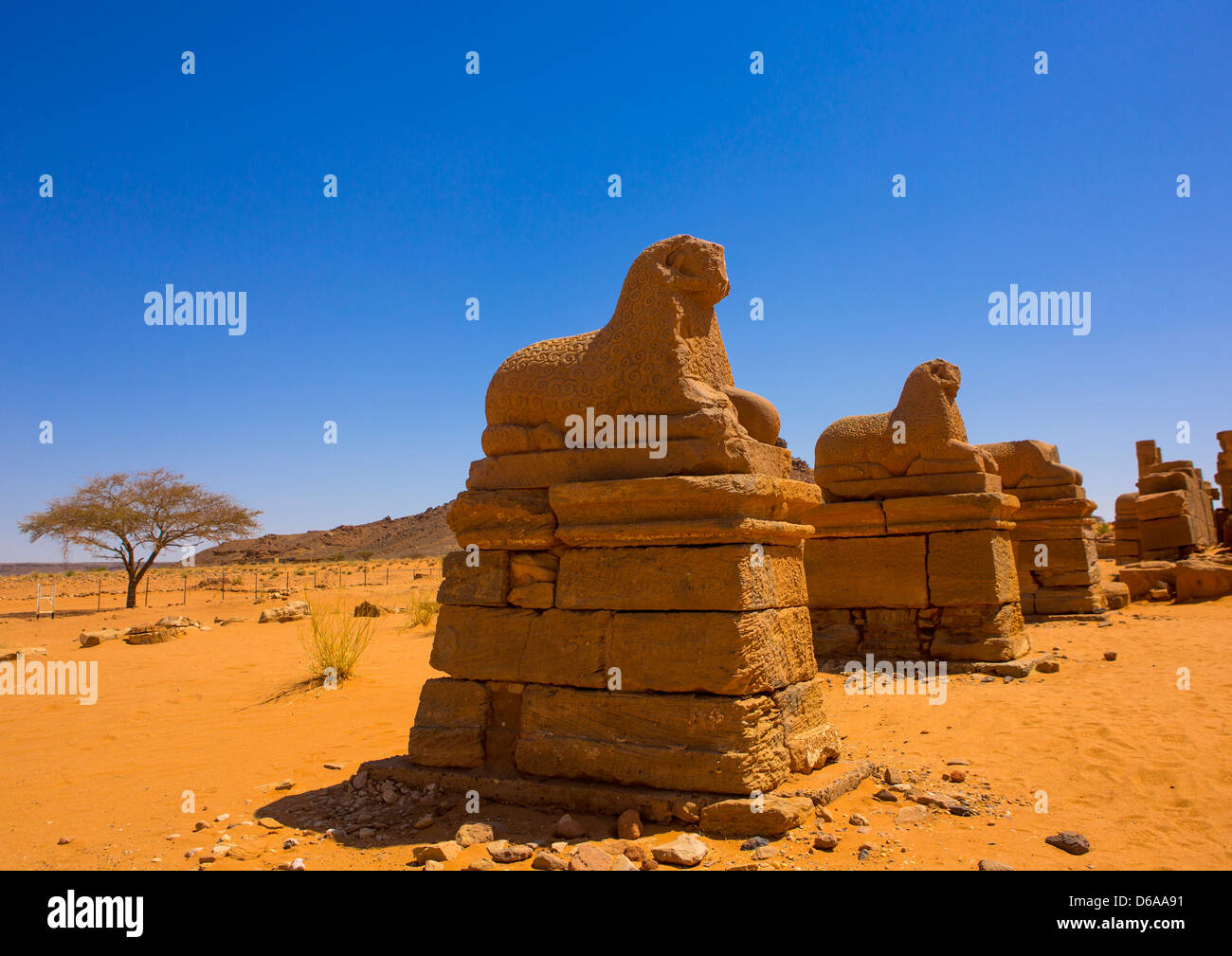 Rams Statues In Amun Temple Rams, Naga Site, Sudan Stock Photo