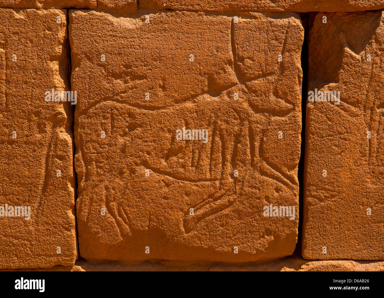 Animal Carving On The Elephant Temple At Musawwarat Es-sufra, Sudan Stock Photo