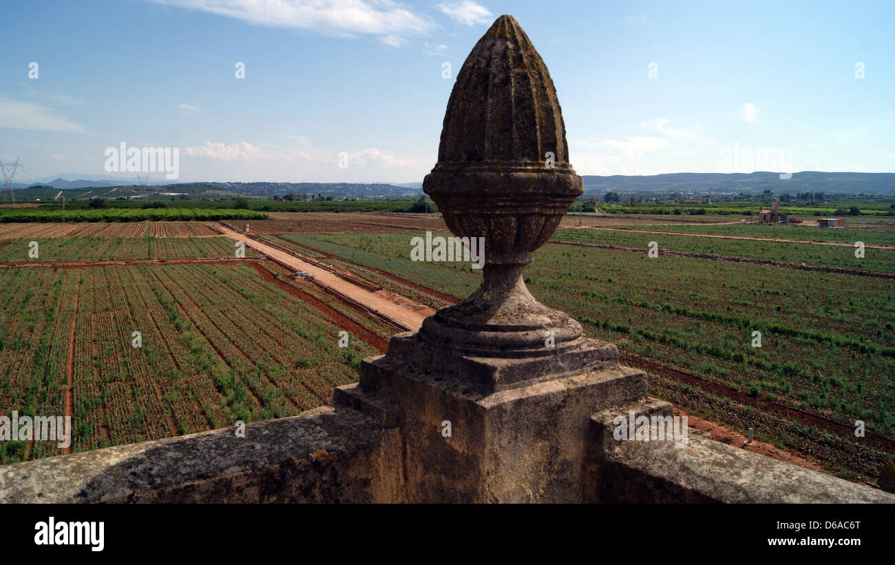 Farmland in Valencia Spain Stock Photo Alamy