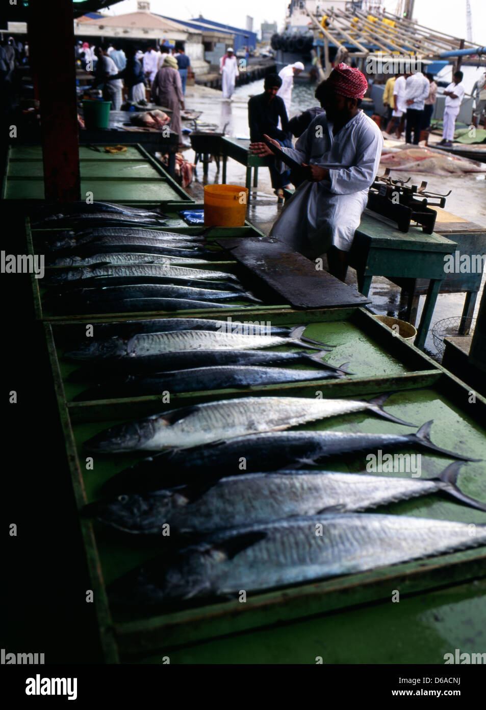 Fish market in the harbor of Sharjah, UAE Stock Photo Alamy