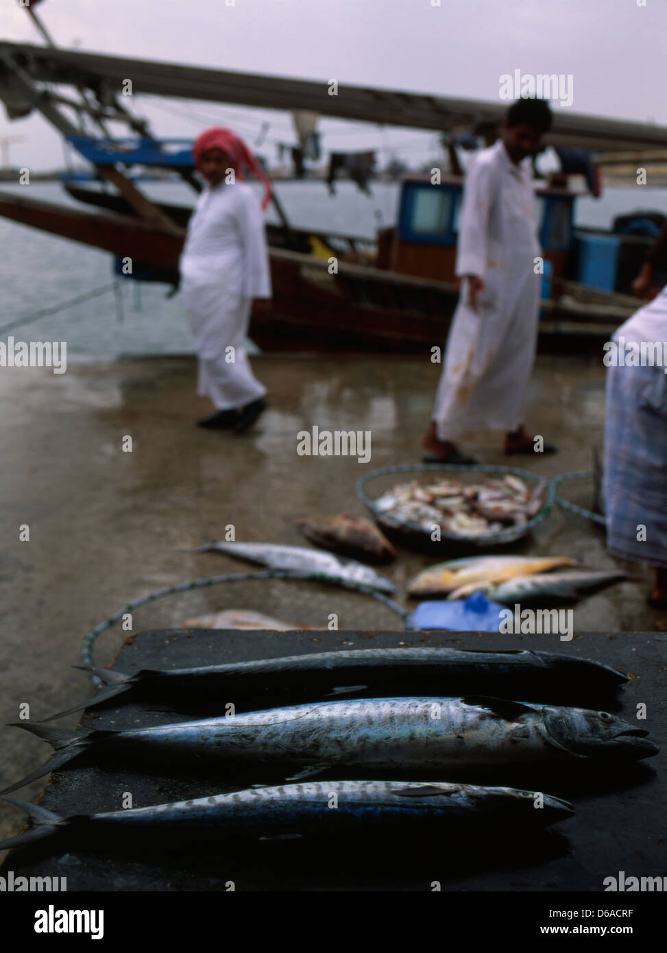 Fishing harbor in Sharjah, UAE Stock Photo Alamy