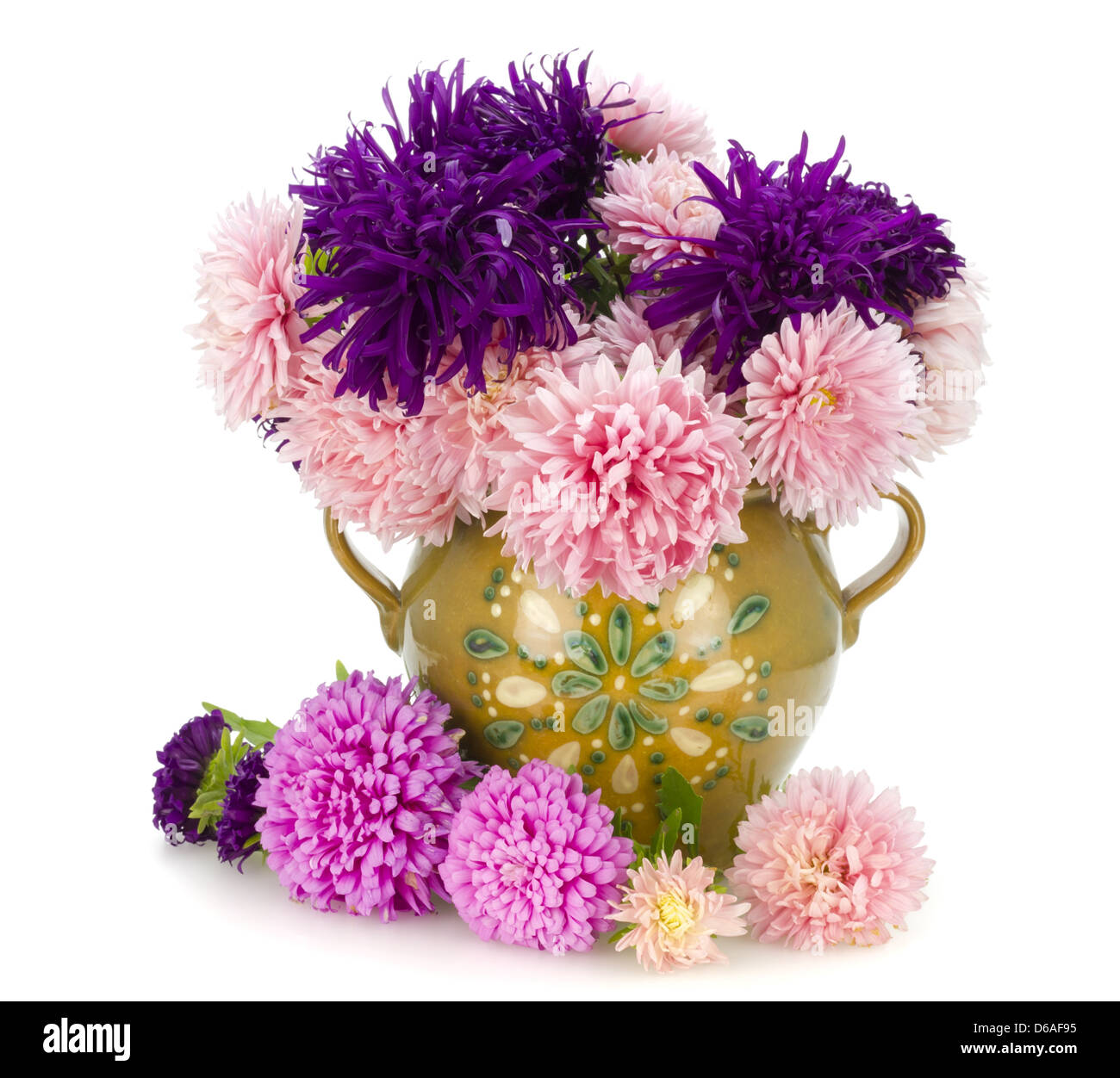 Pink and violet autumn asters in jug Stock Photo