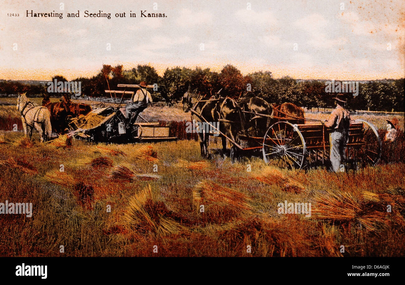 Farmers Working in Field, Kansas, USA, Circa 1909 Stock Photo Alamy