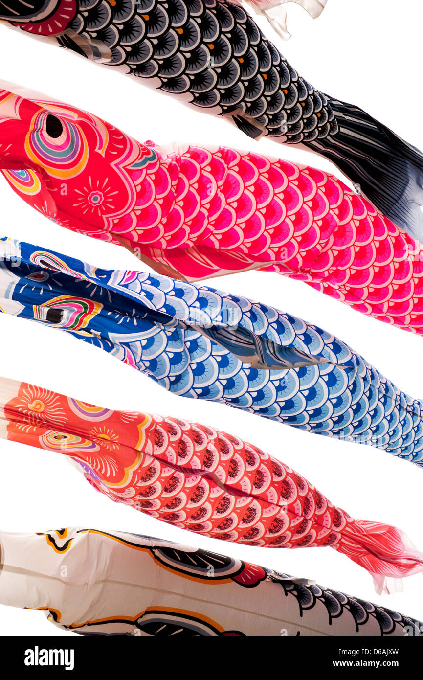 Koinobori (carp streamers) fly against a white backdrop for Children's