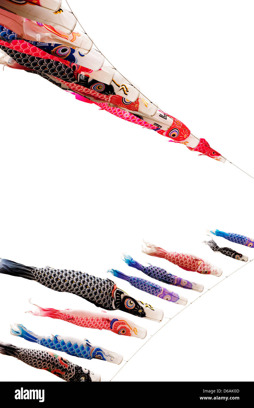 Koinobori (carp streamers) fly against a white backdrop for Children's