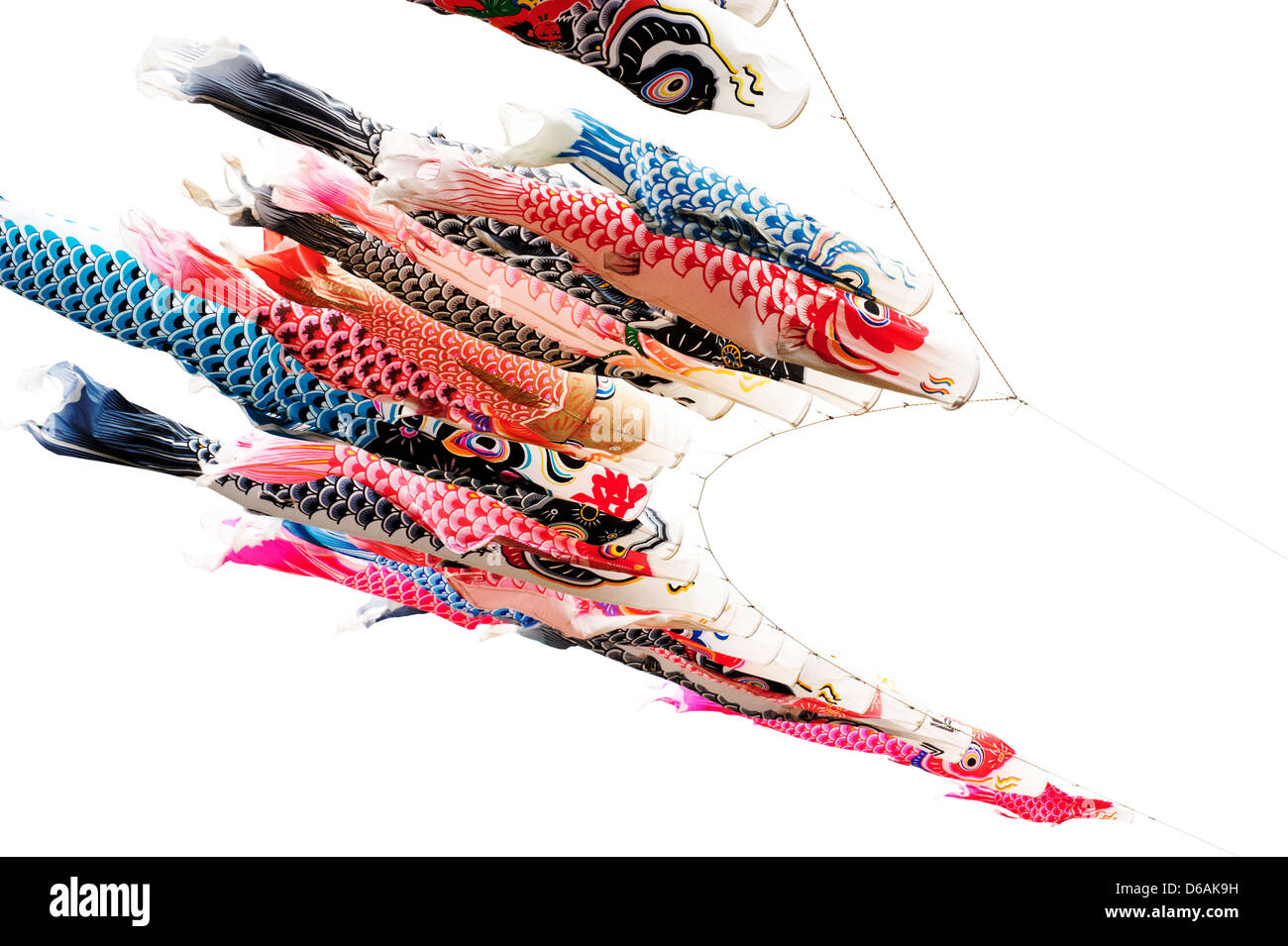 Koinobori (carp streamers) fly against a white backdrop for Children's