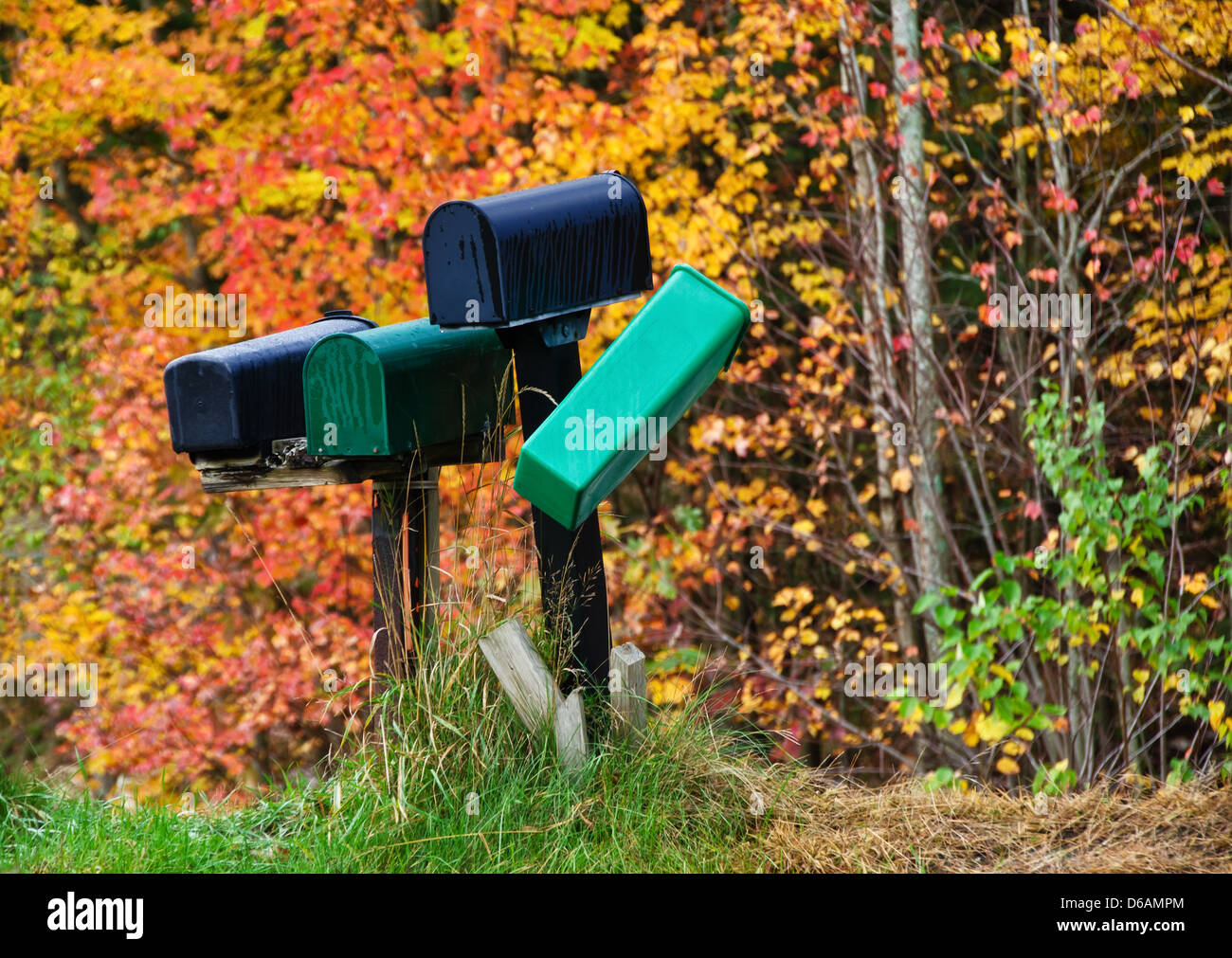 Juxtaposed mailboxes against autumn foliage trees Stock Photo Alamy