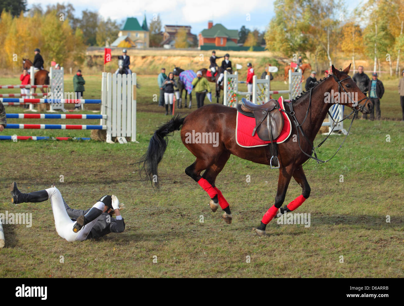 Brown horse refuse jump dismount hires stock photography and images