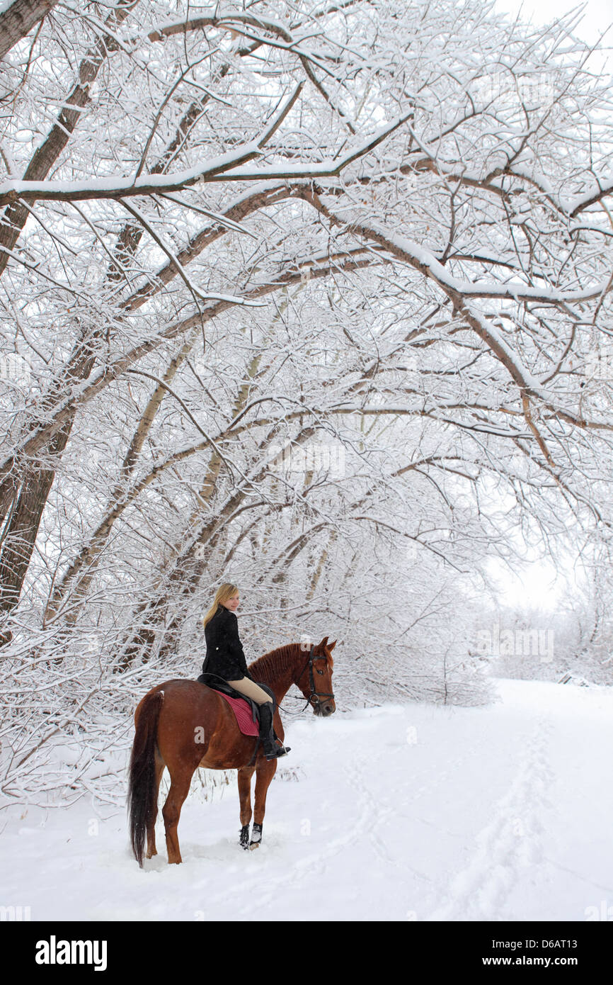 Winter horseback riding Stock Photo