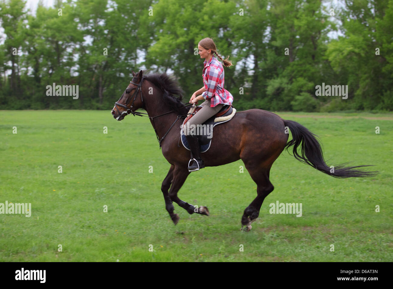 Horse woman gallop galloping hires stock photography and images Alamy