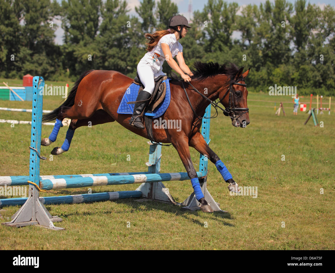 Young female rider on a chestnut horse at a hurdle race Stock Photo