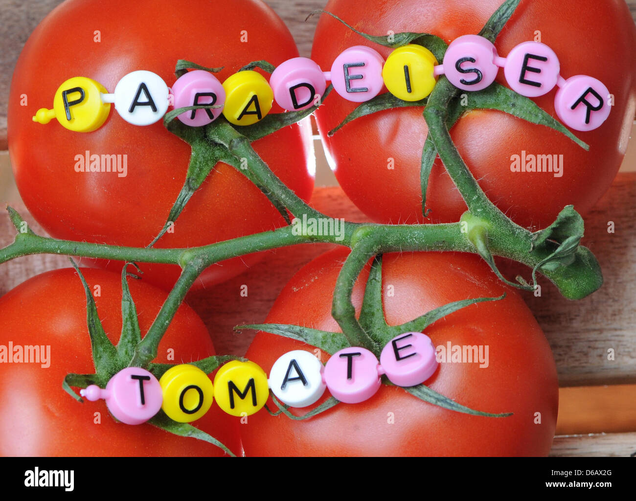 Illustration - The words 'Paradeiser', which is Austrian for Tomatoe, and the German term 'Tomate' are put together with letters of a board game and situated on tomatoes in Berlin, Germany, 10 August 2012. The term 'Paradeiser' is the Austrian name for tomatoe. Photo: Jens Kalaene Stock Photo