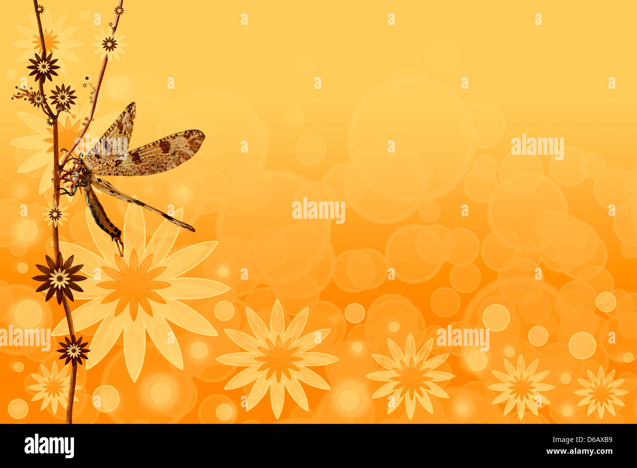 An abstract summer background with a dragonfly Stock Photo - Alamy