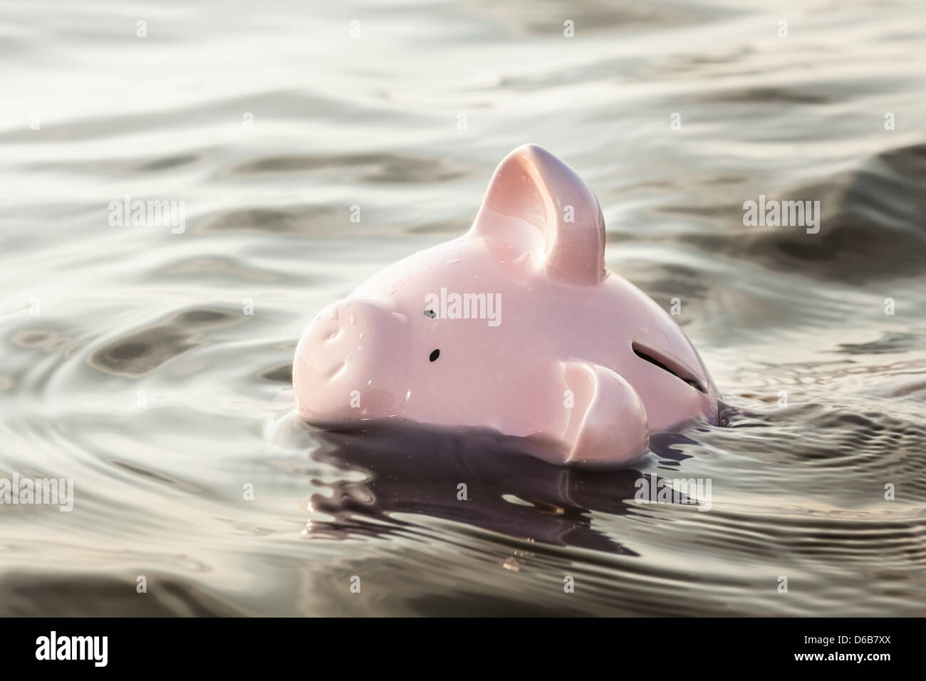Piggy bank floating in water Stock Photo