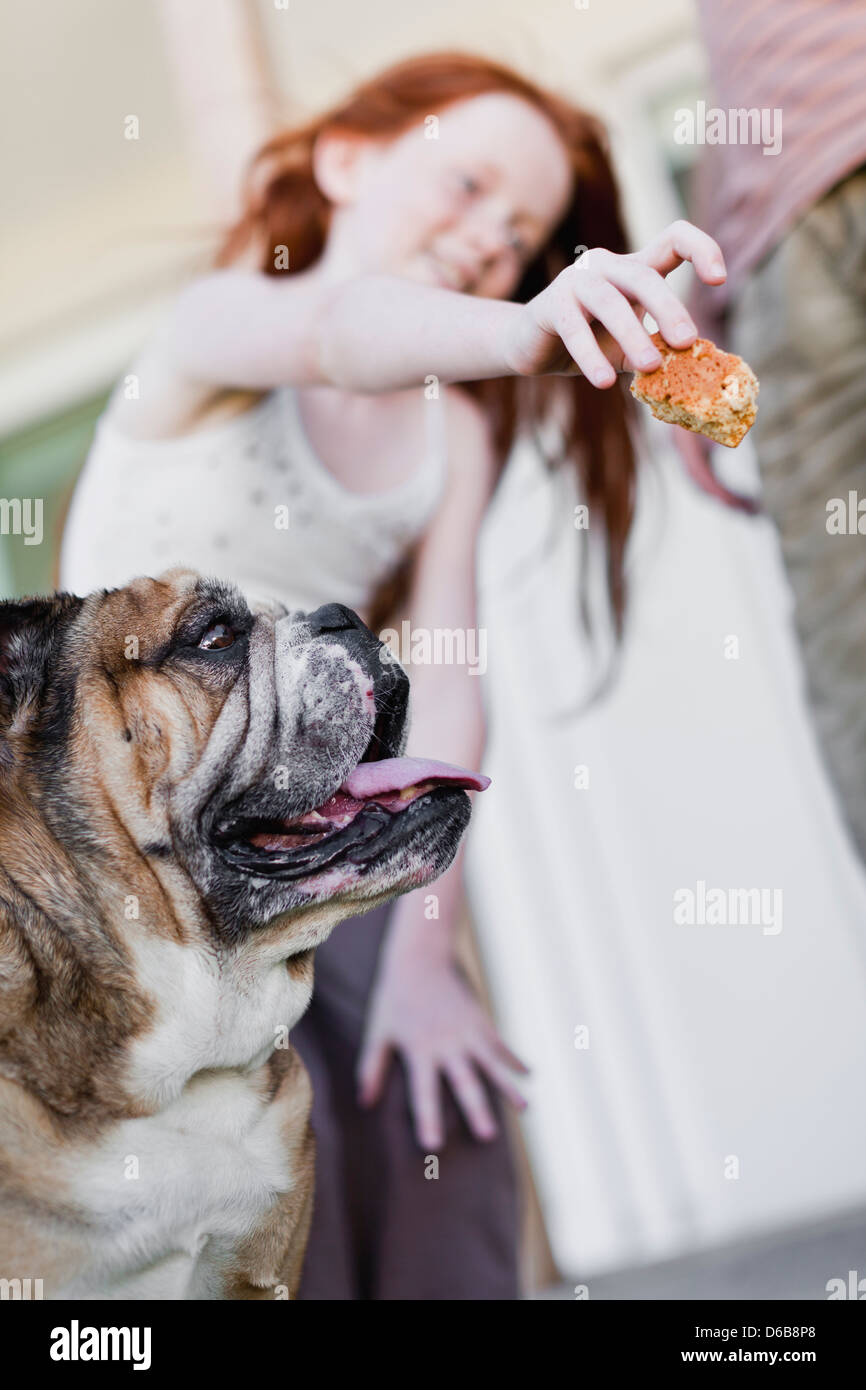 Girl giving dog biscuit Stock Photo Alamy