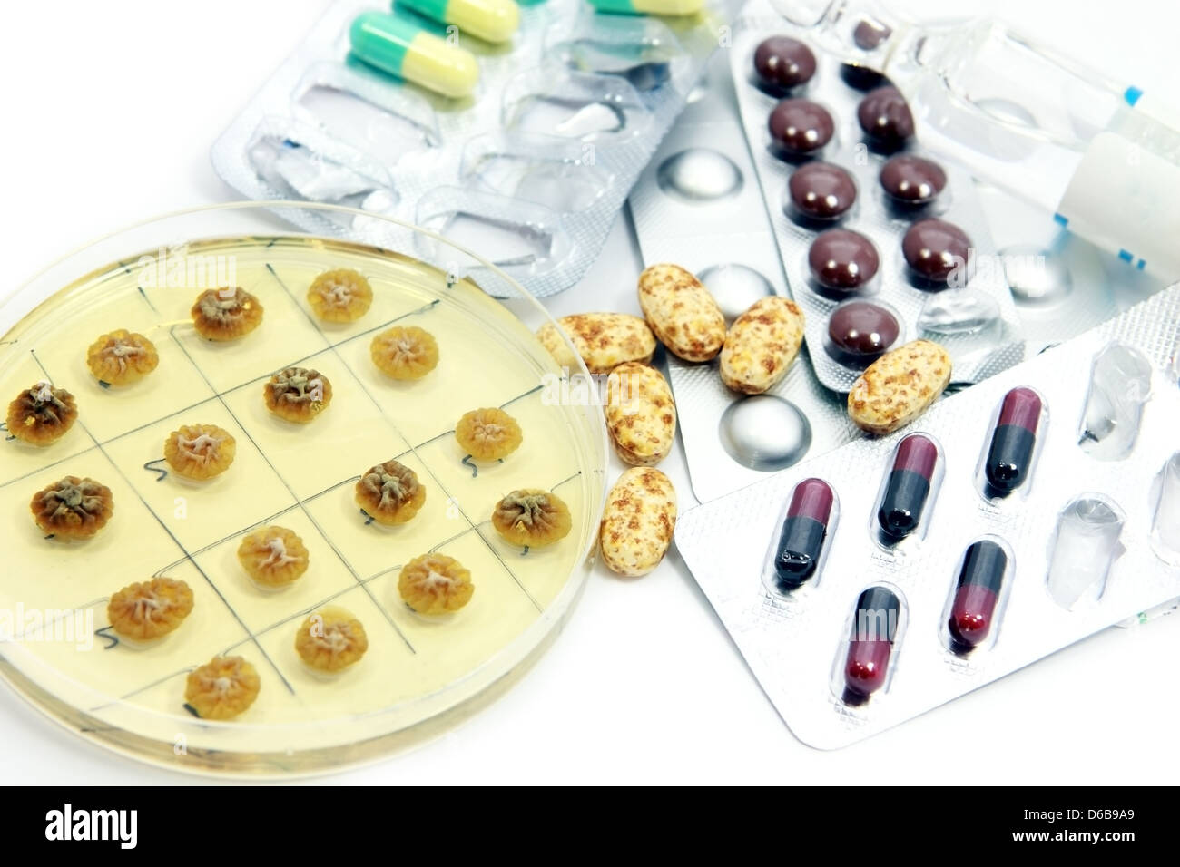 Penicillum colonies and different pills Stock Photo
