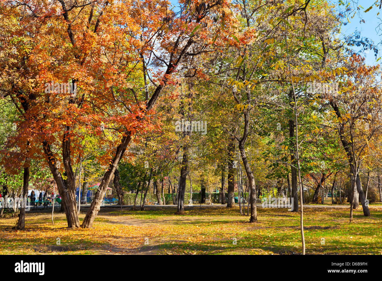 landscape in autumn park Stock Photo - Alamy