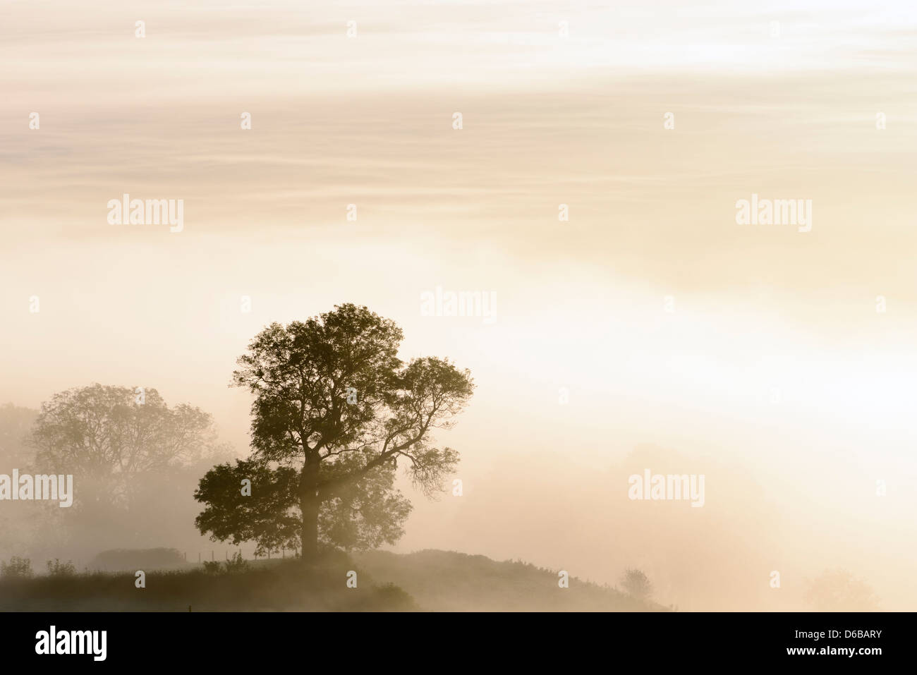 Thick mist covering the Somerset Levels near Glastonbury. Stock Photo