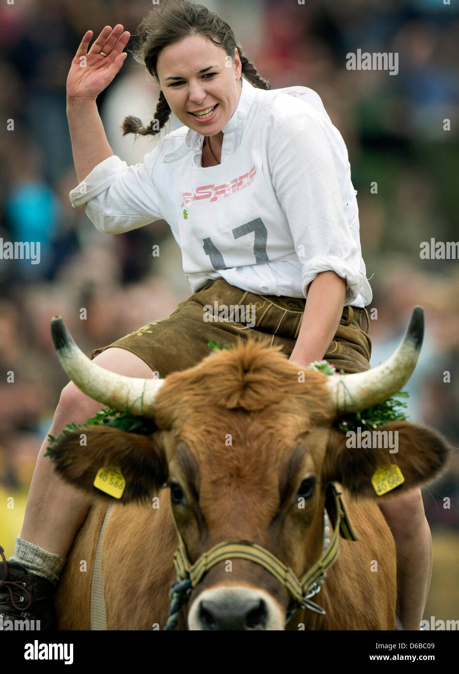 скачка на быке