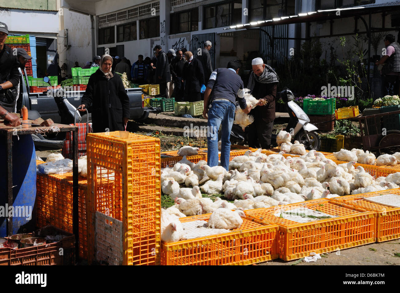 Live chickens for sale in the market hires stock photography and