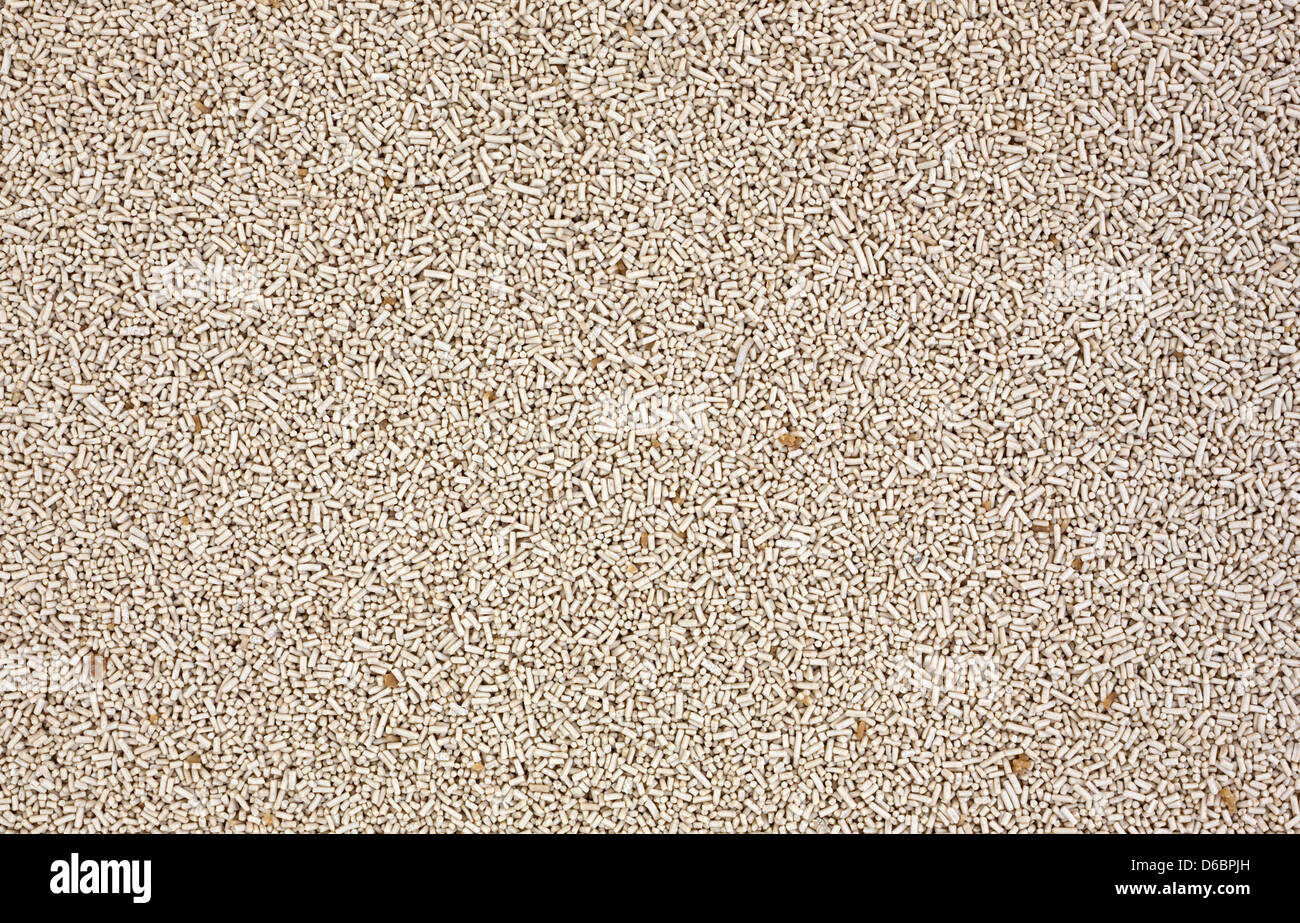 A very close view of organic active dry yeast Stock Photo Alamy