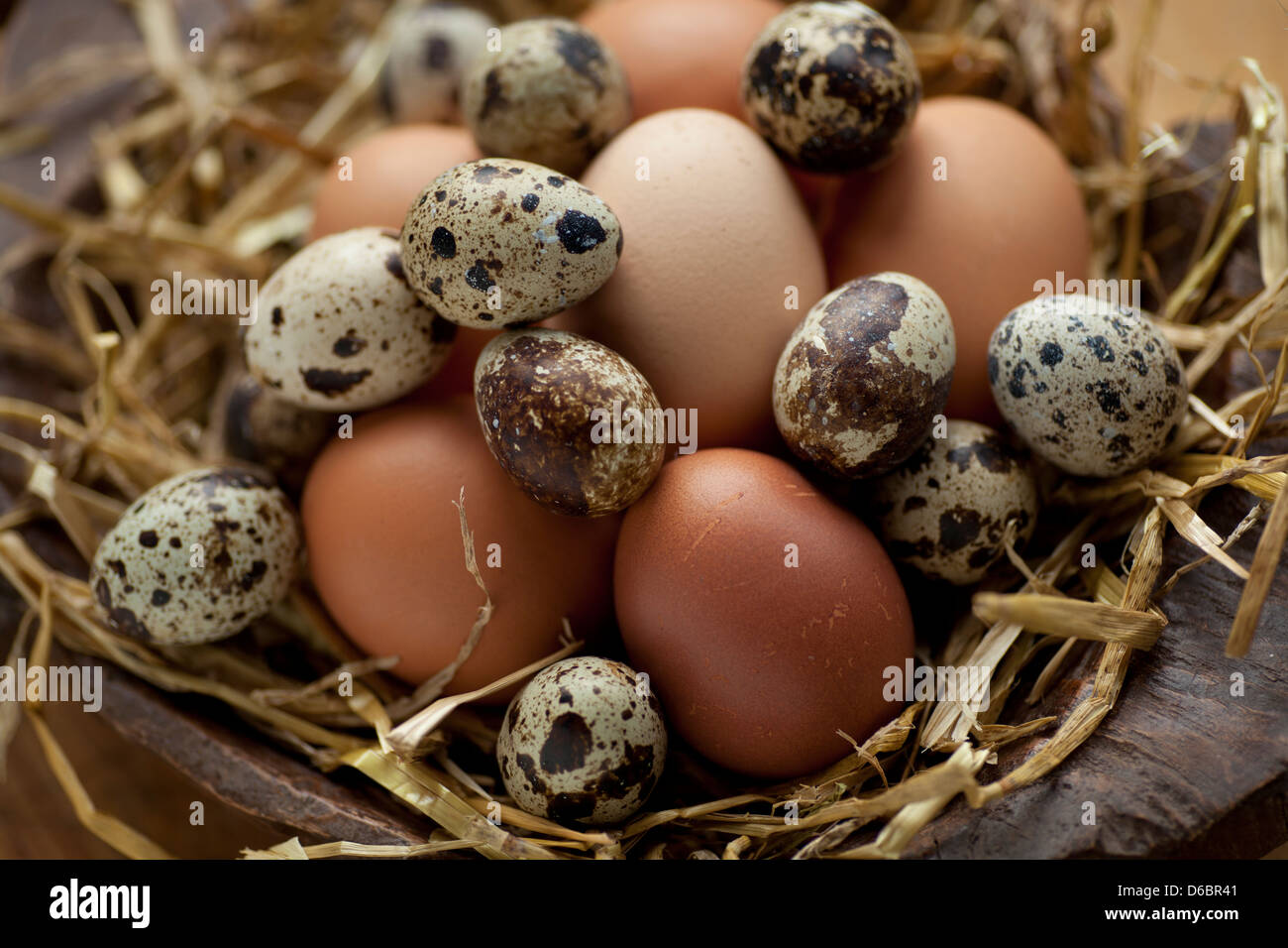 Farm Eggs in a Basket with Straw Stock Photo