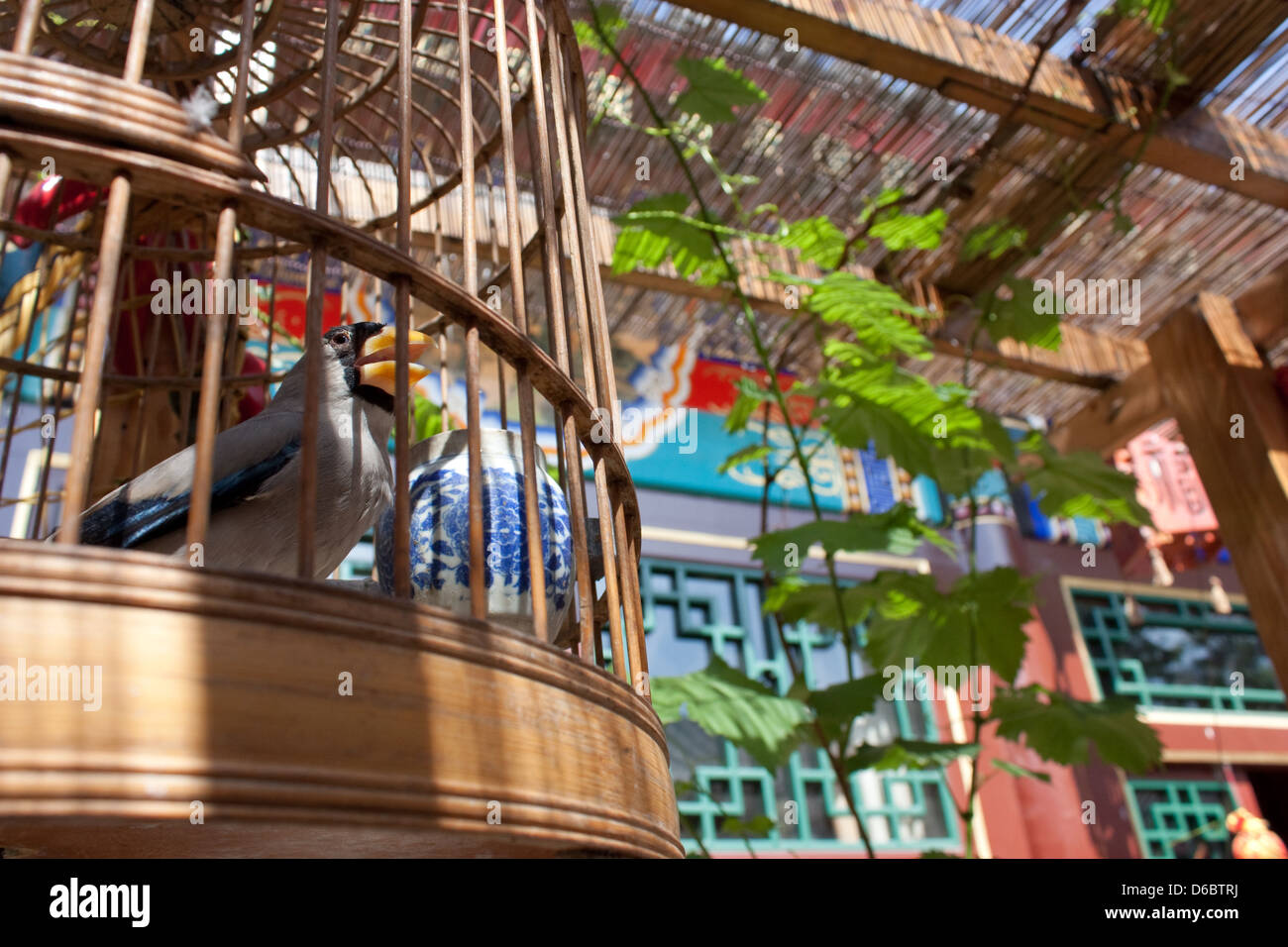 Traditional chinese courtyard house hires stock photography and images