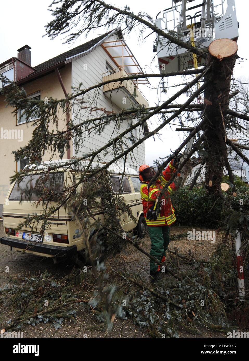 Firefighters remove a tree which has fallen on a mini bus in