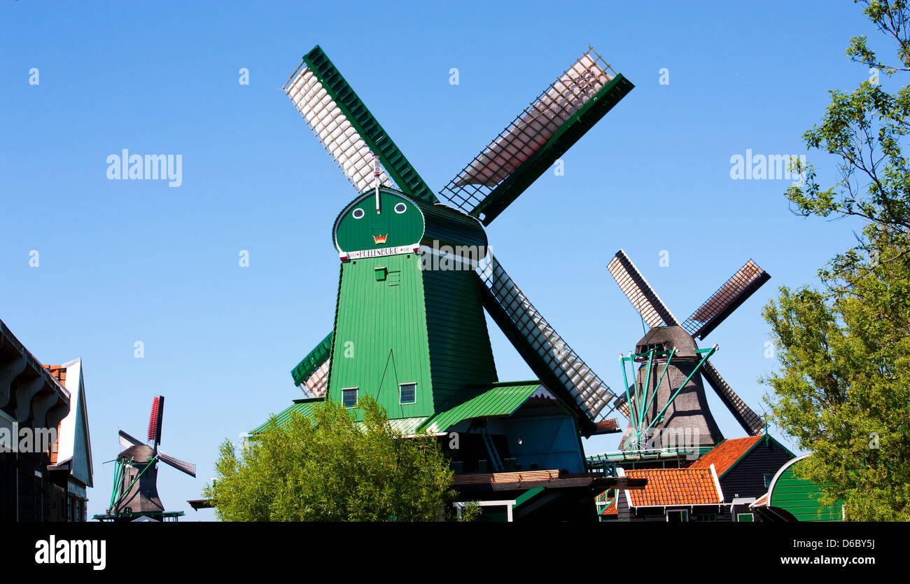 Mills in Holland Stock Photo Alamy