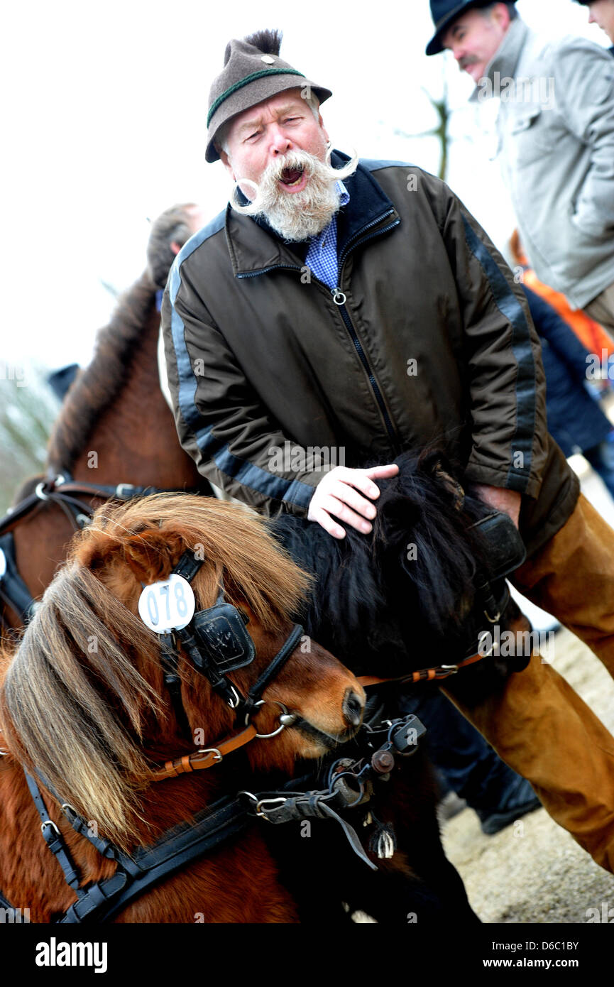 A visitor makes a twisted face after being bitten by a Shetland pony at the Horse breeding show 'Kalter Markt' ('Cold Market') in Ellwangen, Germany, 09 January 2012. 'Kalter Markt' is one of the largest and oldest horse breeding shows in the southwest of Germany. Photo: STEFAN PUCHNER Stock Photo