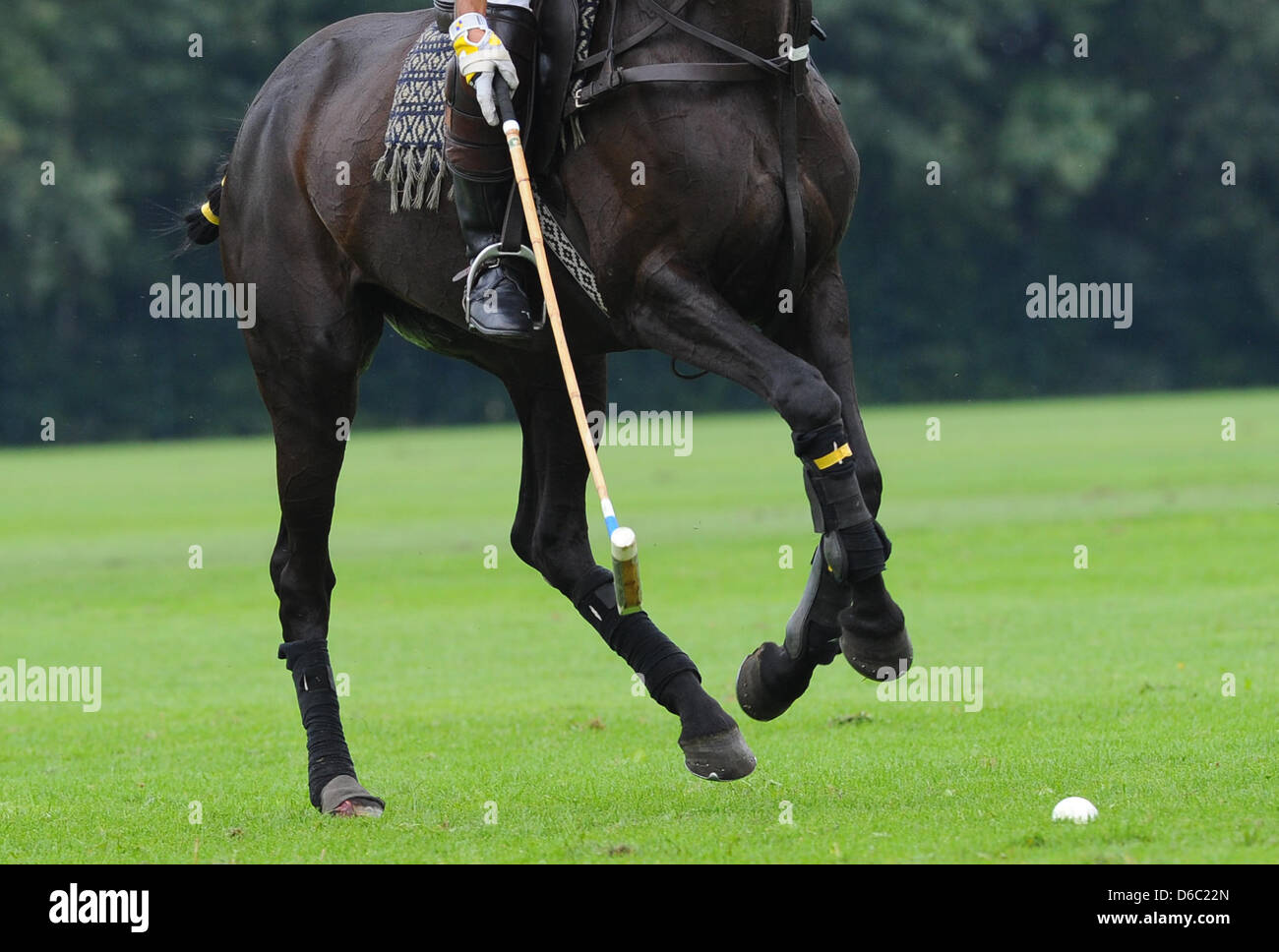 A polo player plays the ball with his mallet during the German Polo