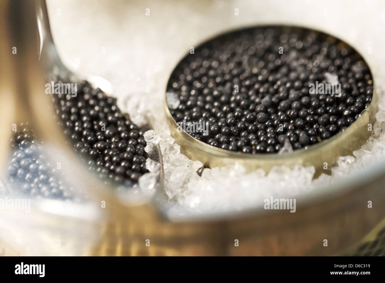 Black caviar in small round metal tin on ice Stock Photo