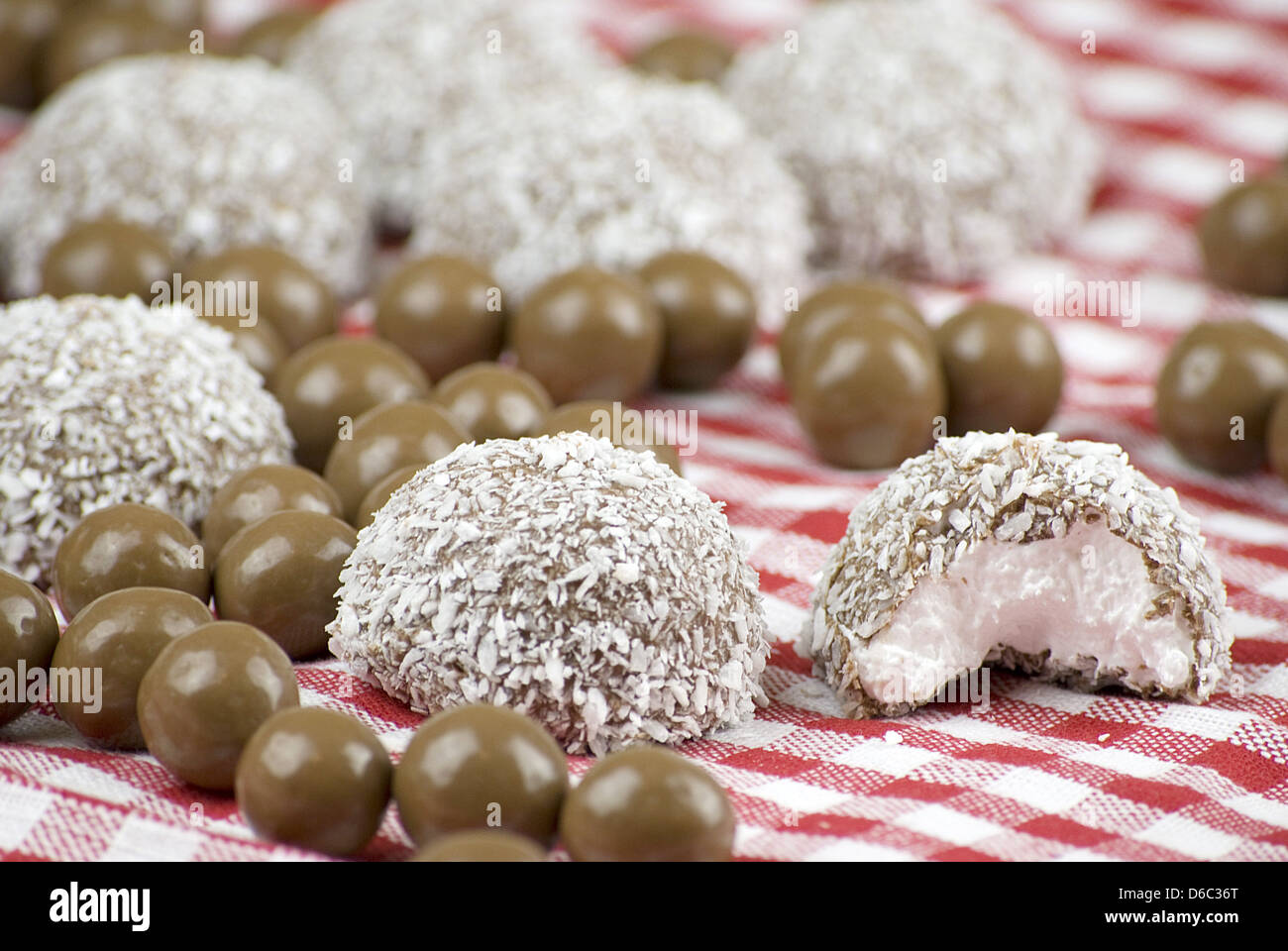 Chocolate and coconut covered marshmallow Stock Photo Alamy