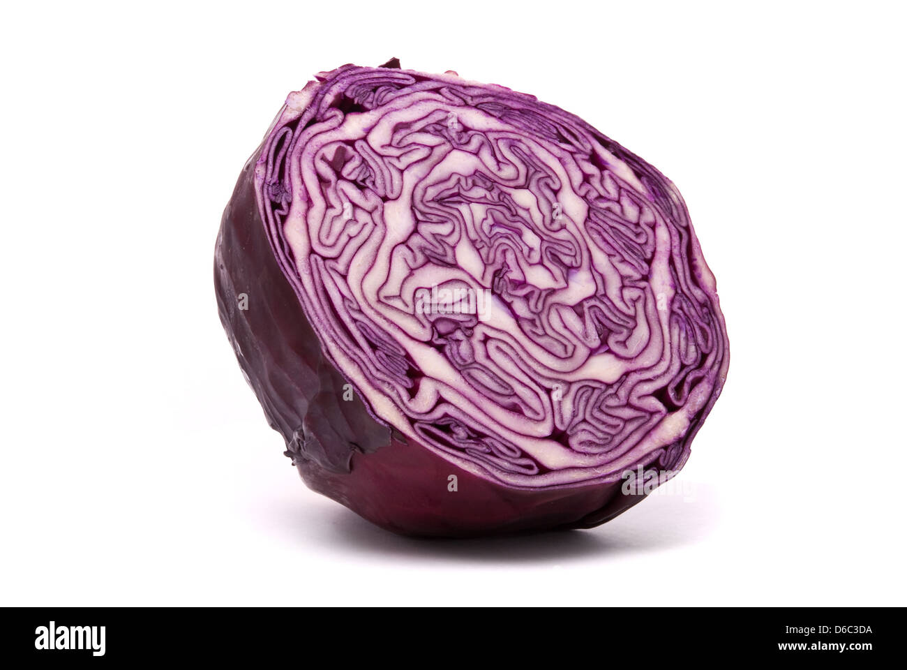 Red cabbage on a white background Stock Photo