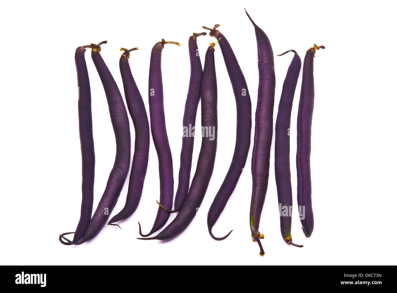 Asparagus kidney bean studio white Stock Photo Alamy