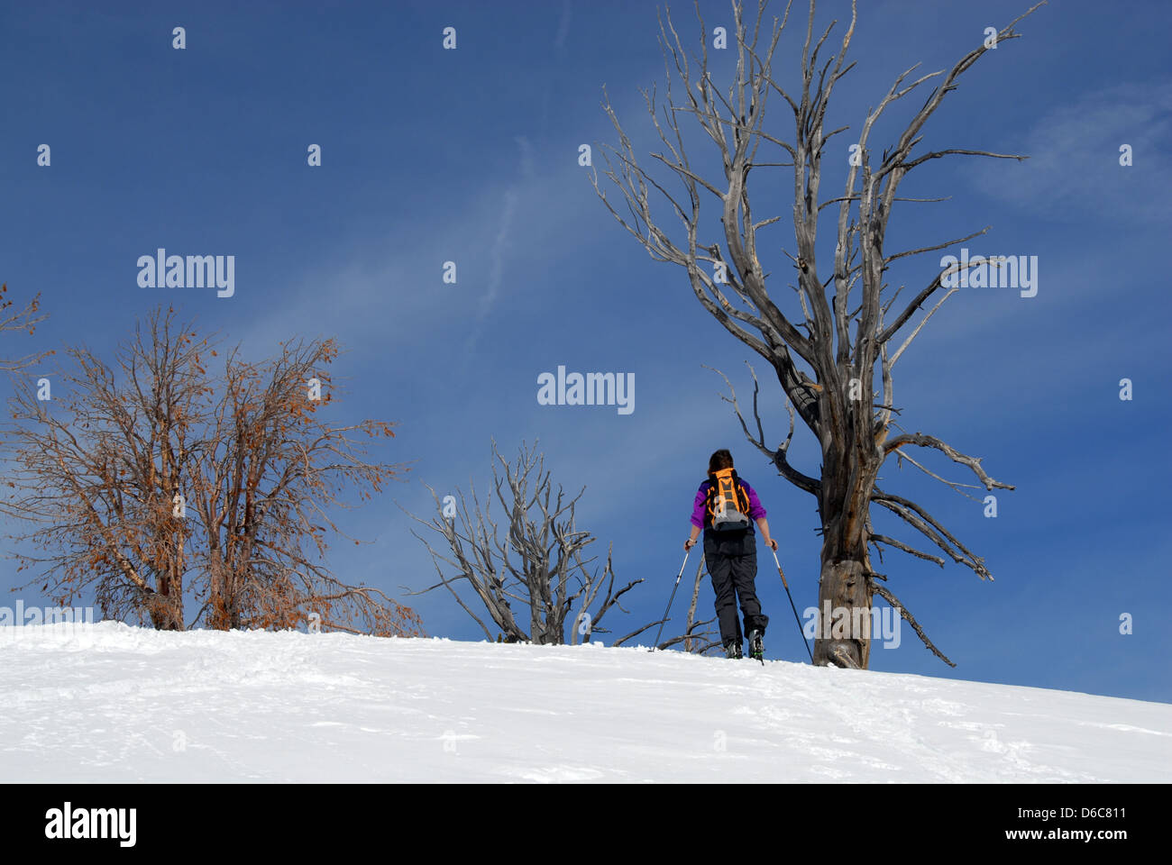 Backcountry skier walking up mountain above Galena Pass, Sawtooth Ntl. Forest, Idaho Stock Photo