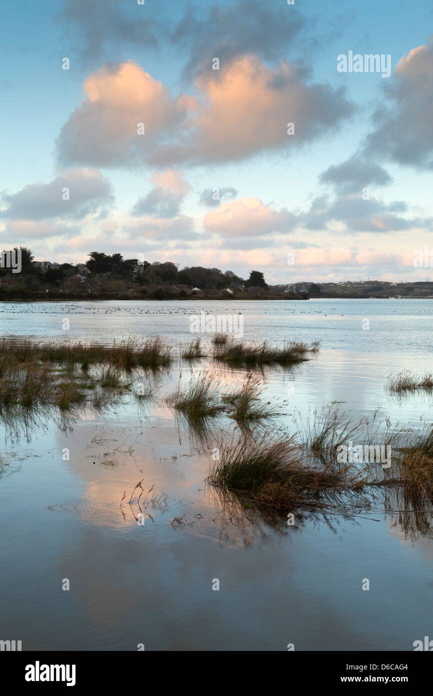 Hayle Estuary; High Tide; Cornwall; UK Stock Photo