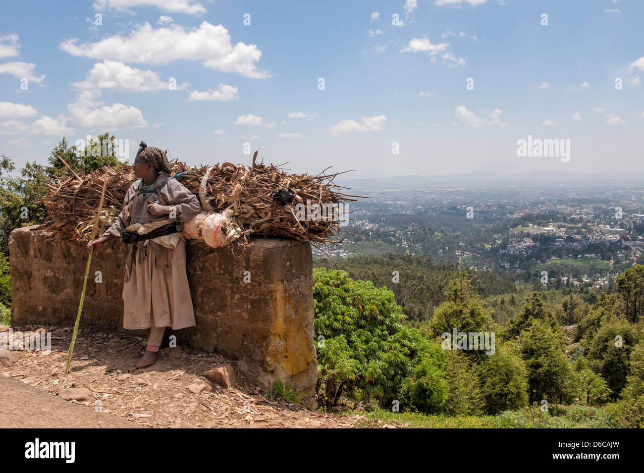 Woman carrying a bundle of eucalyptus wood, Addis Ababa, Ethiopia Stock Photo