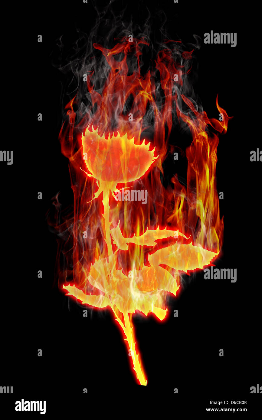 Magic fire rose hi-res stock photography and images - Alamy