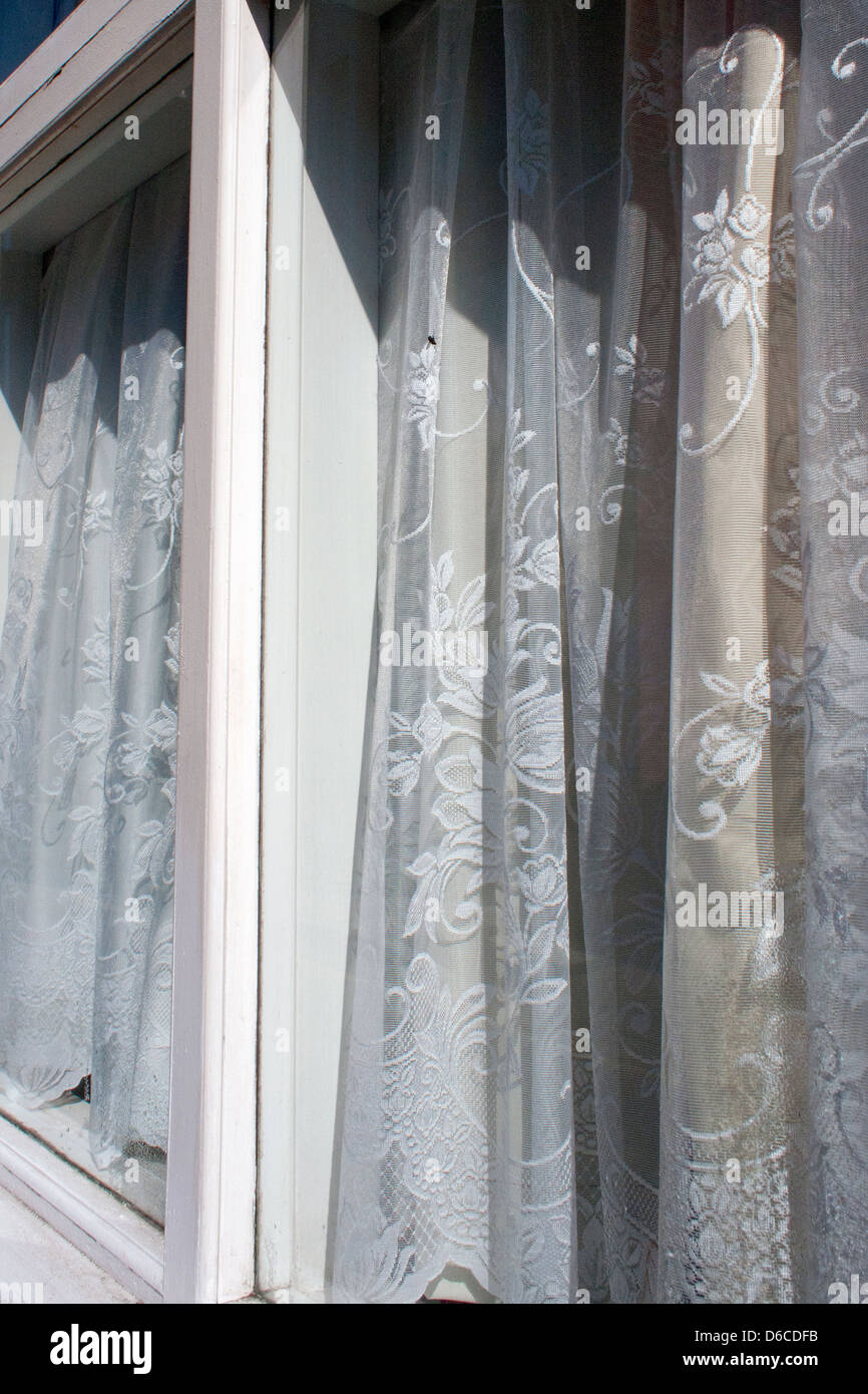 Curtains in window, with fly Stock Photo