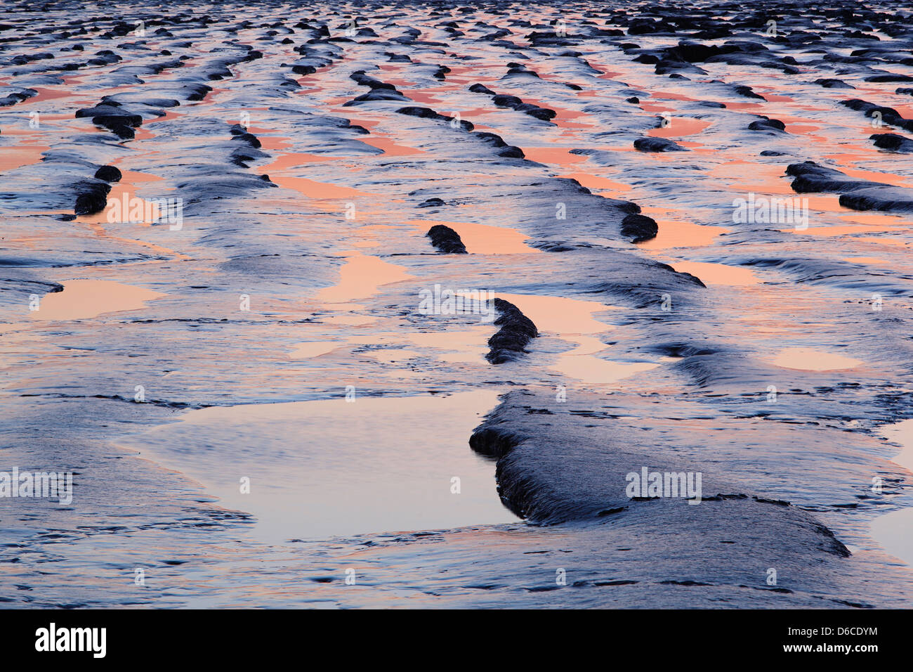 Mudflats at Sand Bay at Dusk. Close up abstract. Somerset. England. UK. Stock Photo