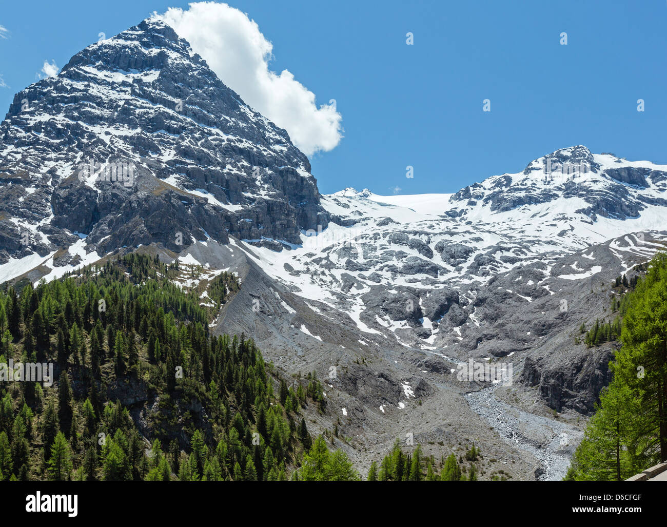 Summer Stelvio Pass with fir forest and snow on mountain top (Italy) Stock Photo