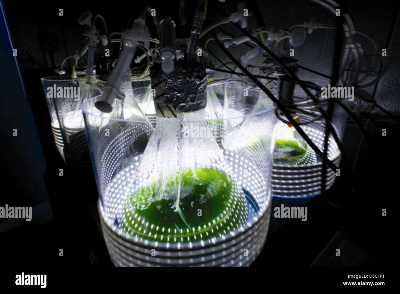 Glass containers algae hi-res stock photography and images - Alamy