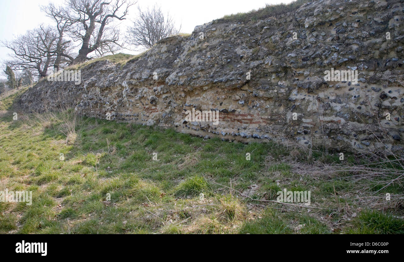 Site of Roman town of Venta Icenorum, Caister St Edmund, Norfolk,England Stock Photo